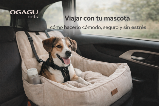Viajar con tu mascota: cómo hacerlo cómodo, seguro y sin estrés